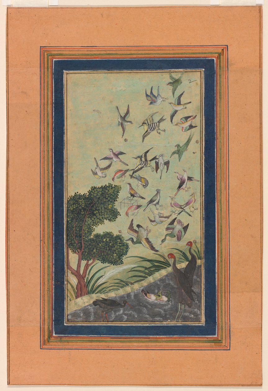 Madarak Baránban, valószínűleg a Babur-namából alkotó: Unknown artist