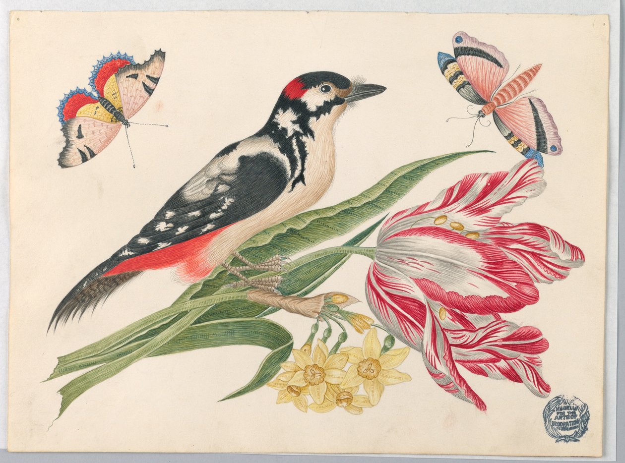 Fekete-fehér foltos madár tulipánszáron, nárciszokkal és pillangókkal alkotó: Unknown artist