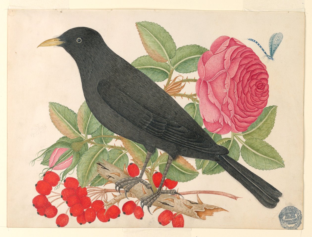 Fekete madár rózsákkal alkotó: Unknown artist