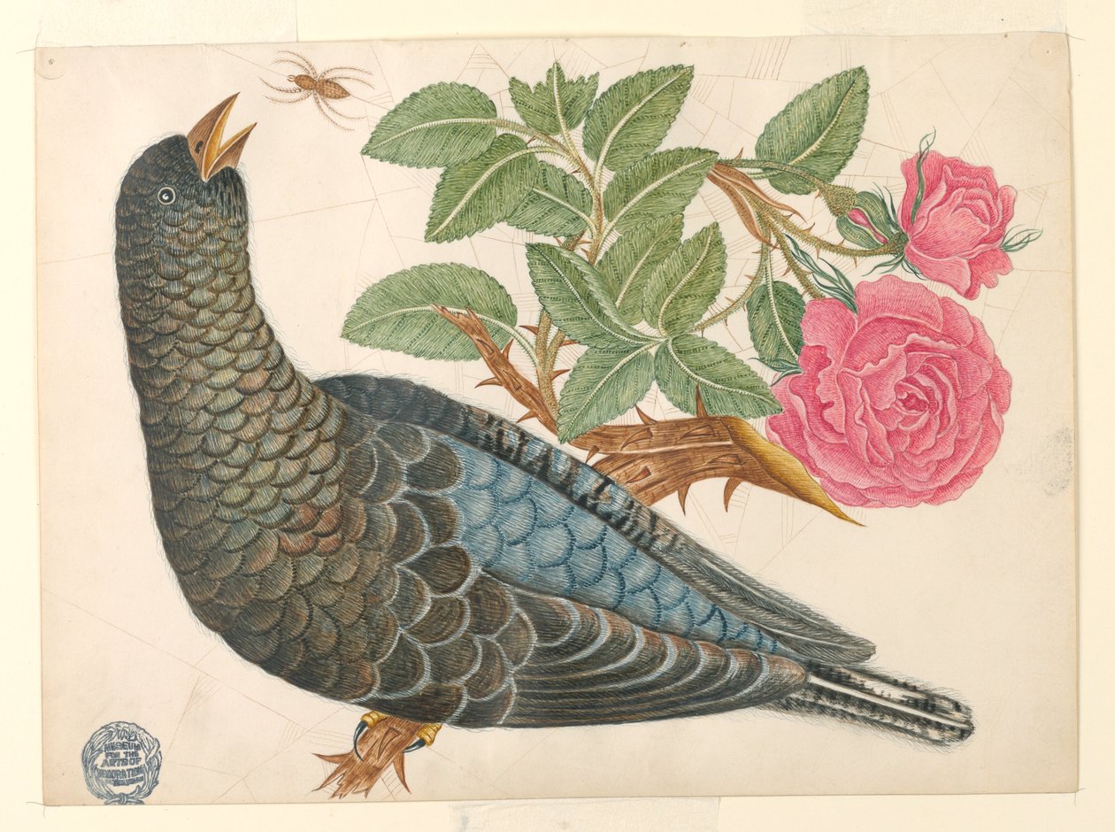 Kék-fekete madár rózsaágon pókkal alkotó: Unknown artist