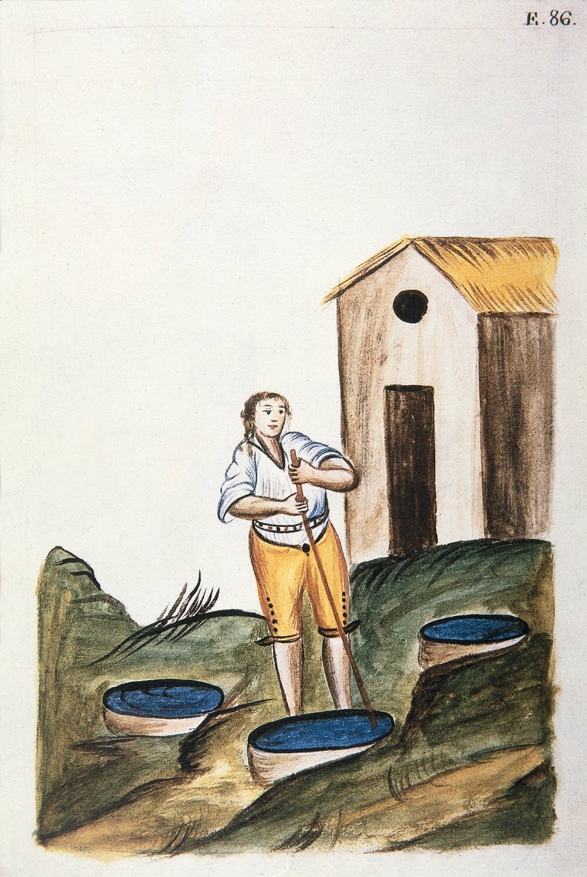 Gyapjúfestésre használt kék festéktálca a „Peru Trujillo” vagy „Codex Martinez Companion” című könyvéből, Baltazar Martinez Companion és Bujanda, Trujillo püspöke (1782-1785) alkotó: Unknown artist