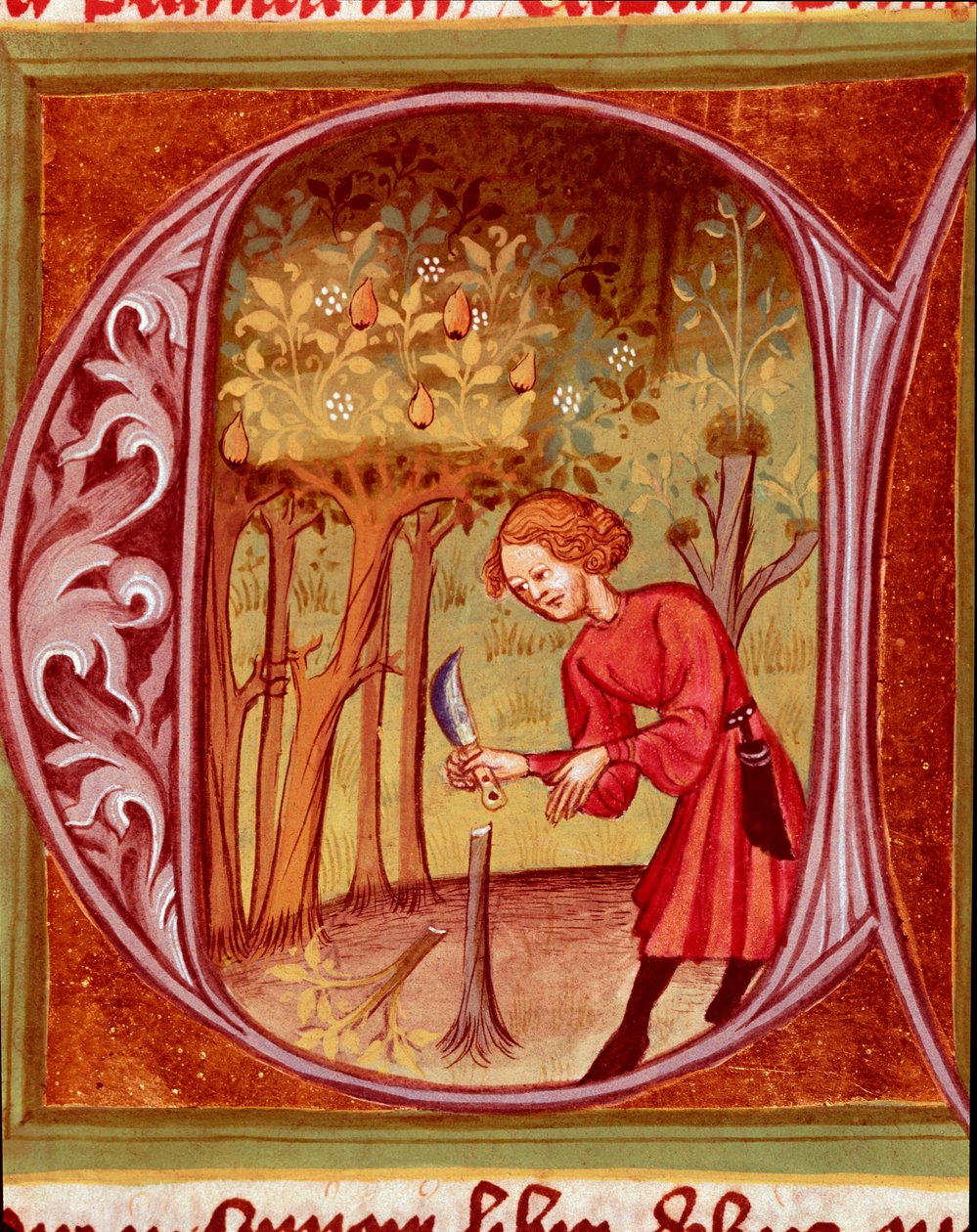 Botanikai: átültetést gyakorló kertész. Pietro de Crescenzi (Crescens Stone vagy Crescens Stone) (1233-1320) „A rusztikus vagy az ország és a vidéki haszon könyvéből” (Rerum ruralium commodorum) vett miniatűr (1233-1320) 14. századi Prága, Nemzeti Könyvtár alkotó: Unknown artist