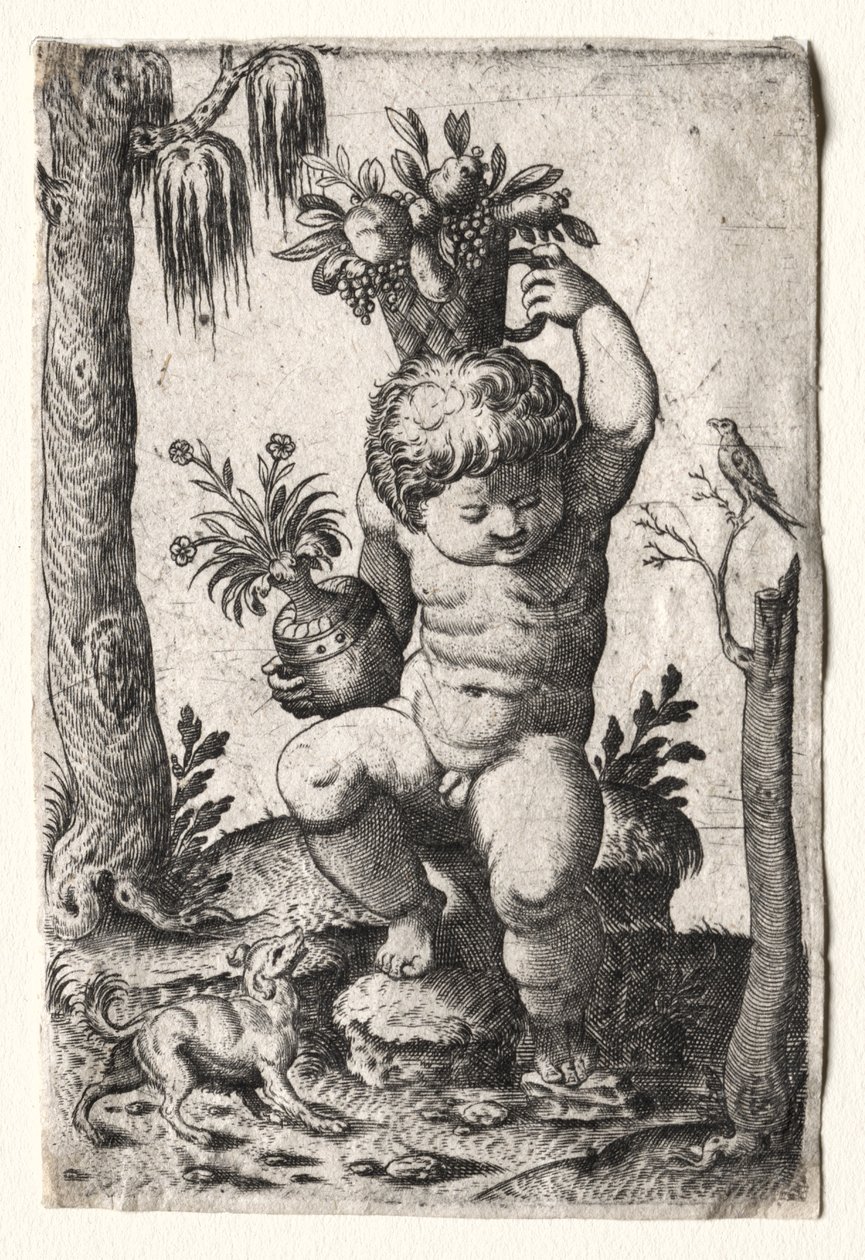 Fiú gyümölcskosárral alkotó: Unknown artist
