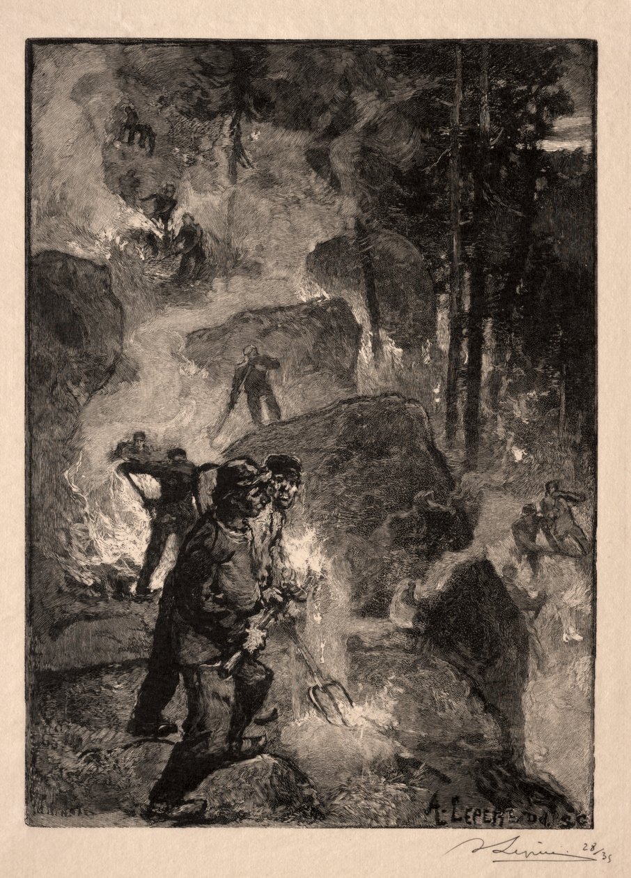 Páfrányégetők alkotó: Unknown artist