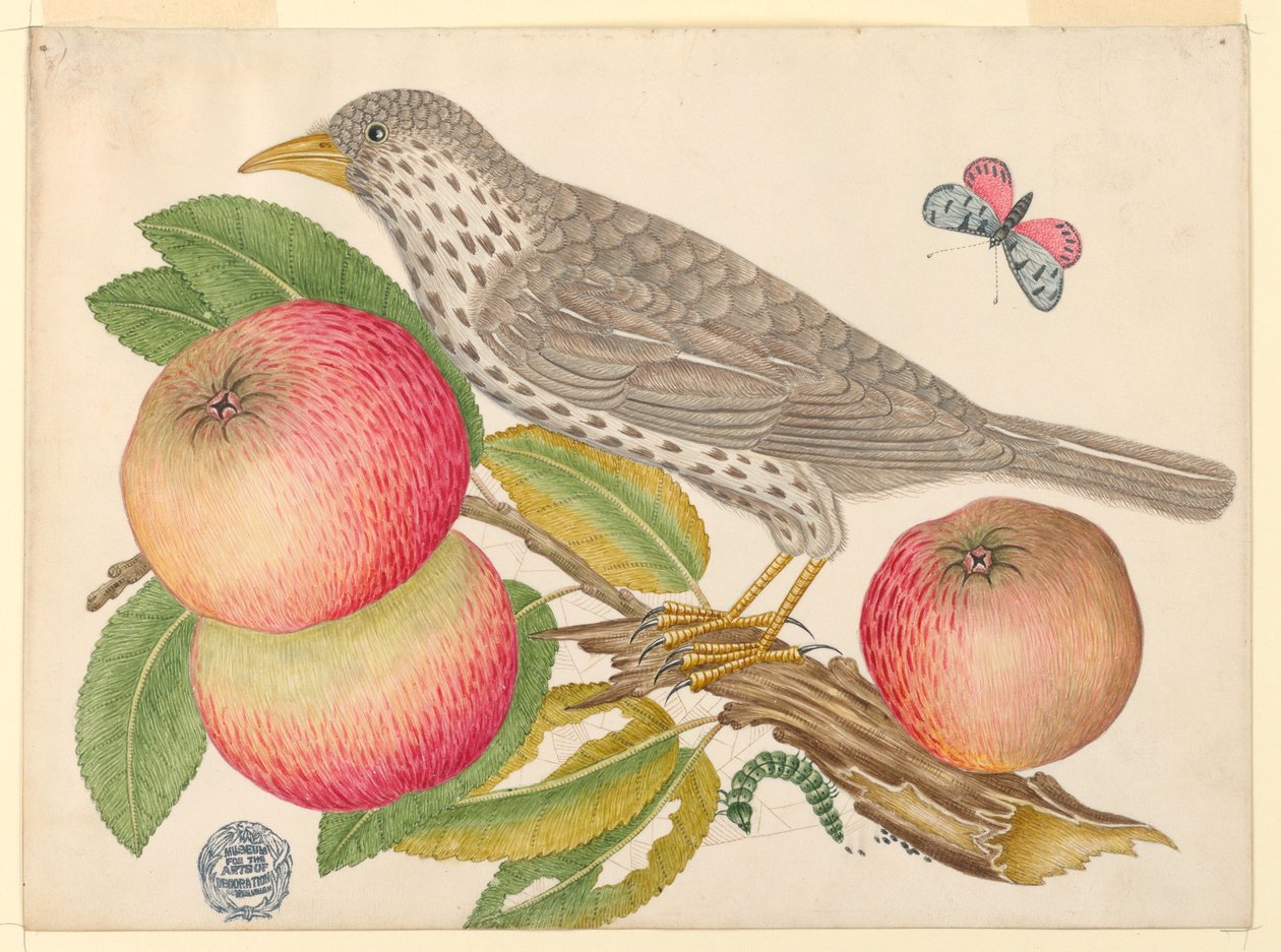 Barna madár almaágon, hernyóval alkotó: Unknown artist