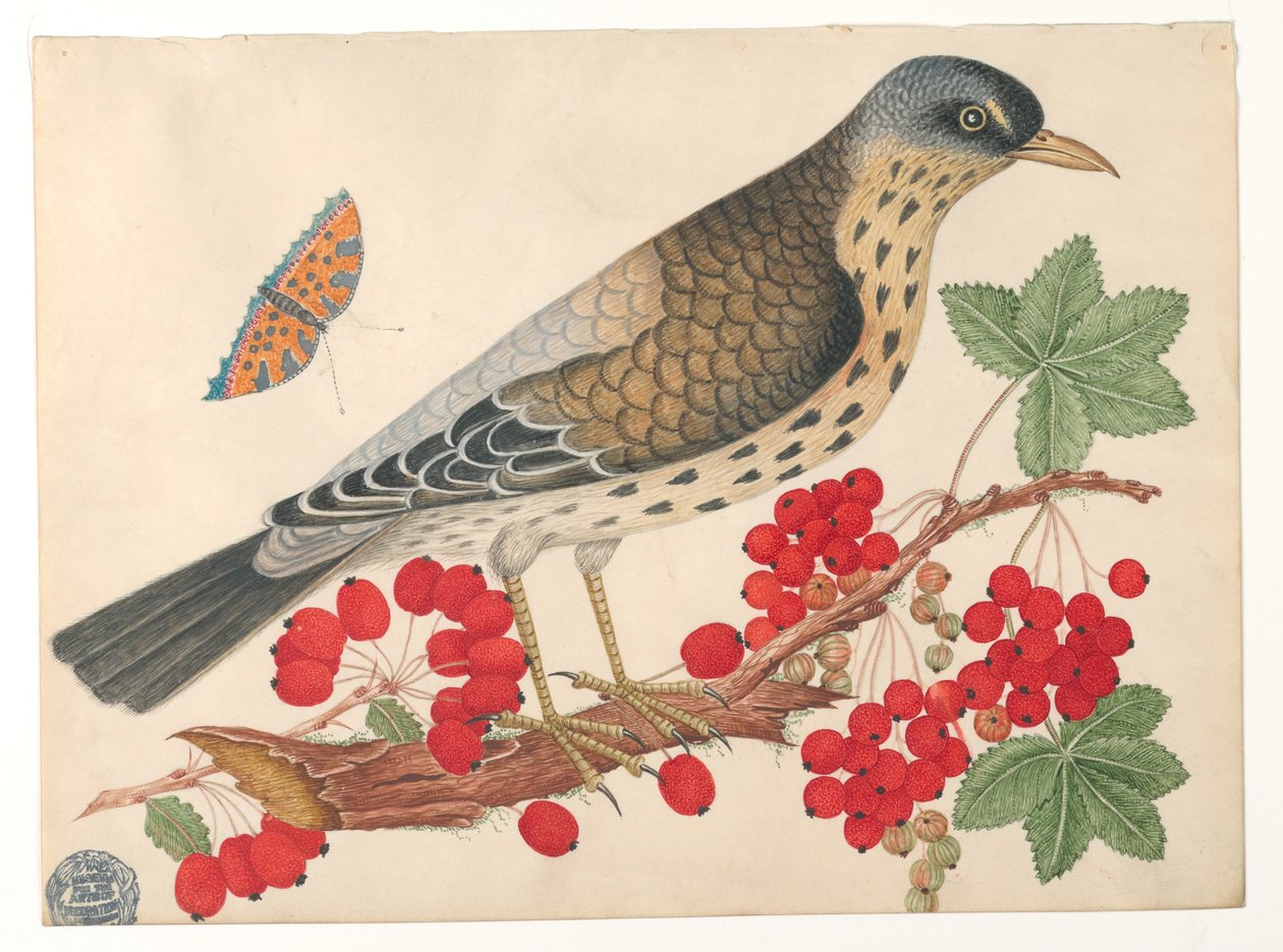 Barna madár ágon datolyaszilva és egy pillangó alkotó: Unknown artist