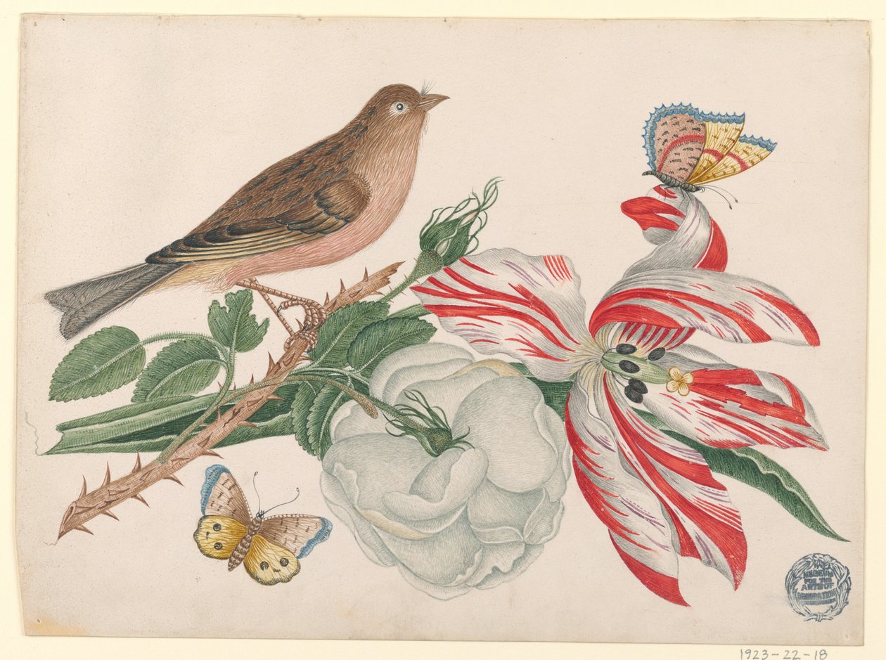 Barna madár ágon rózsával, tulipánnal és rovarokkal alkotó: Unknown artist