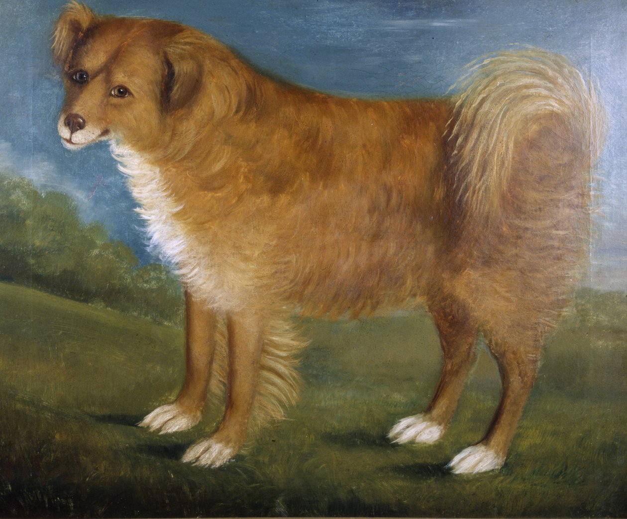 Barna kutya tájban, 1850 körül (olaj, vászon) alkotó: Unknown artist