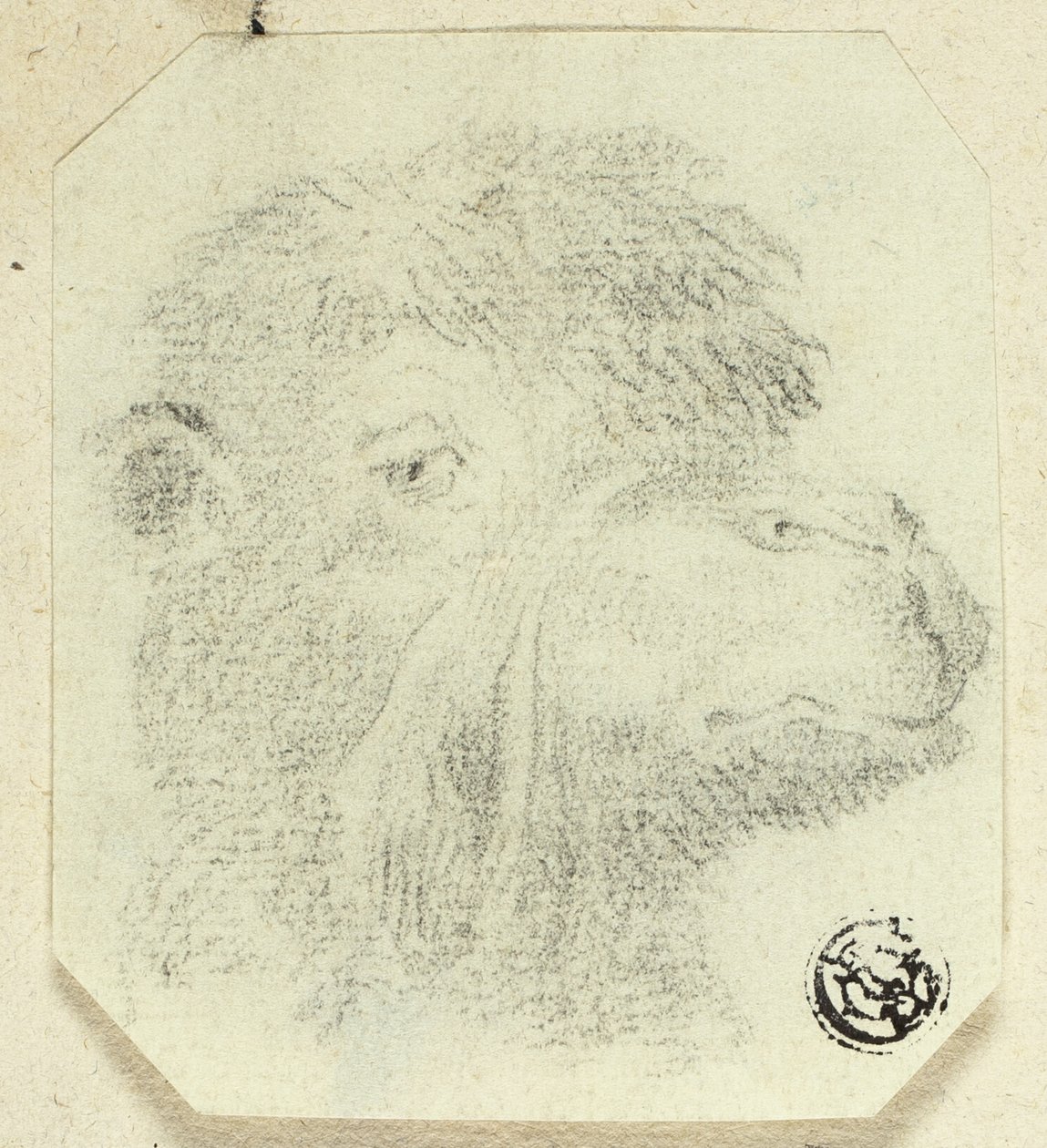 Tevérfej jobbra néző alkotó: Unknown artist