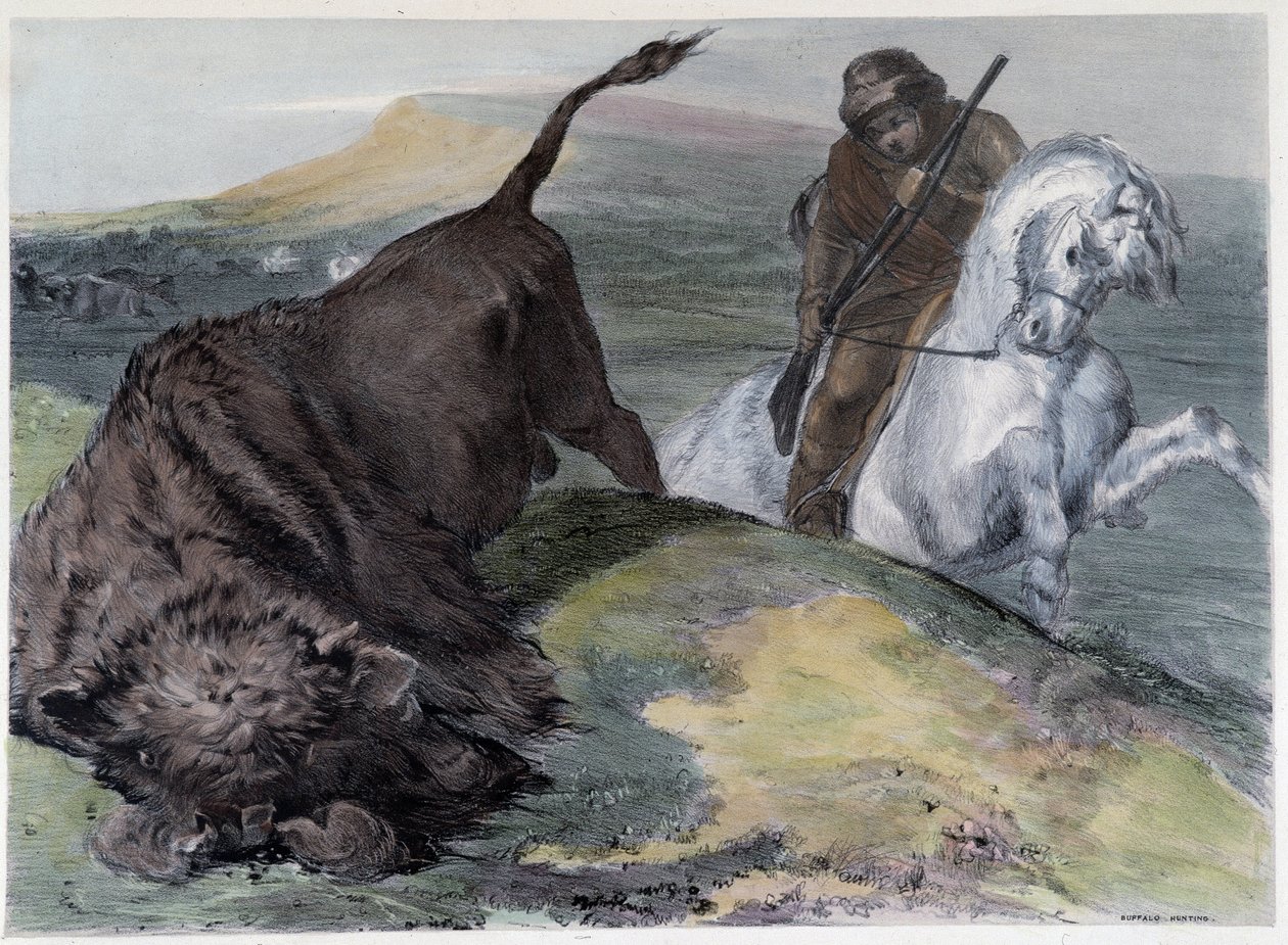 Kanadai Huron Buffalo Hunt – Coke Smyth, London „” Shyth vázlatai a Kanadában” című filmben alkotó: Unknown artist