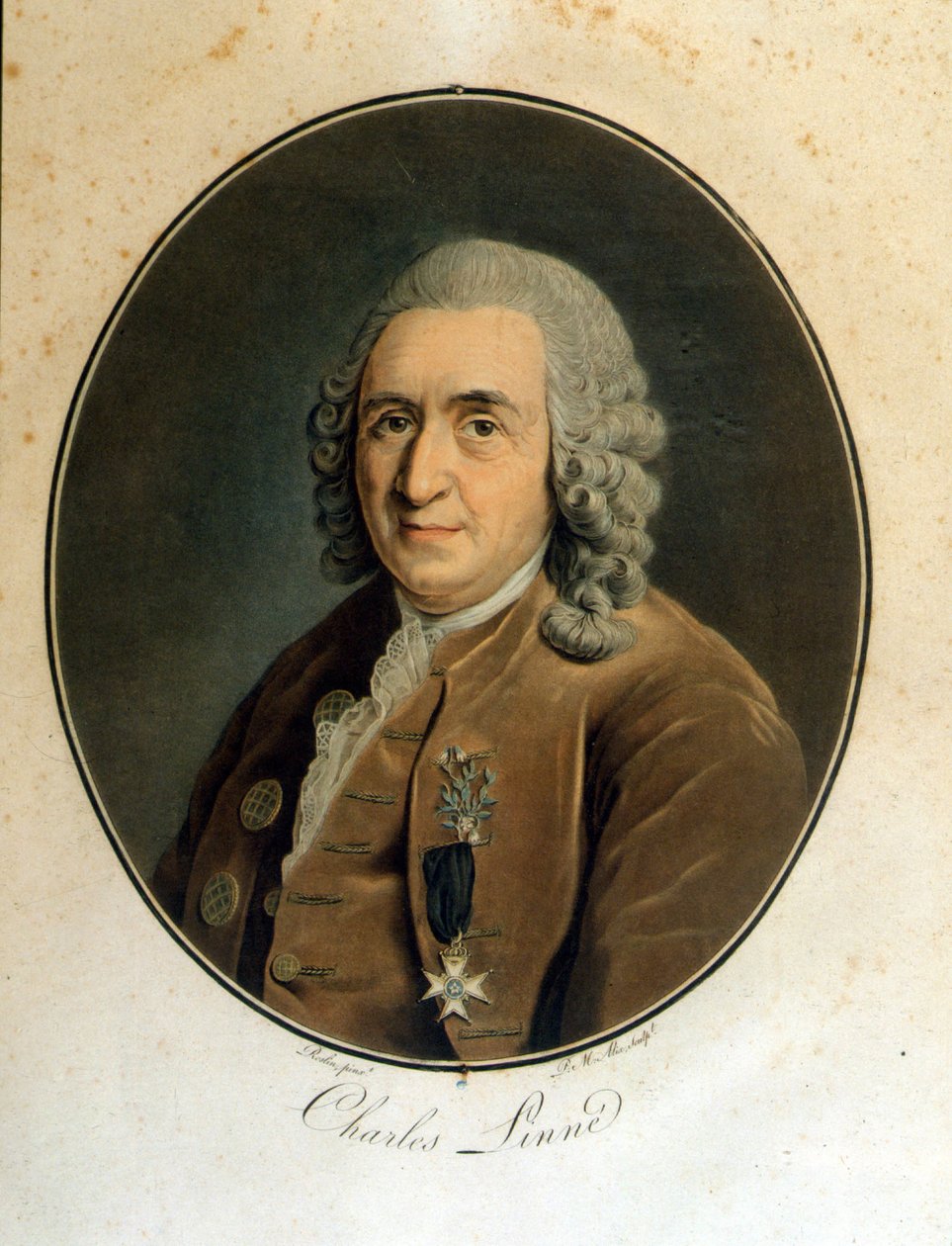 Carl Von Linné svéd természettudós és író (1707-1778) alkotó: Unknown artist