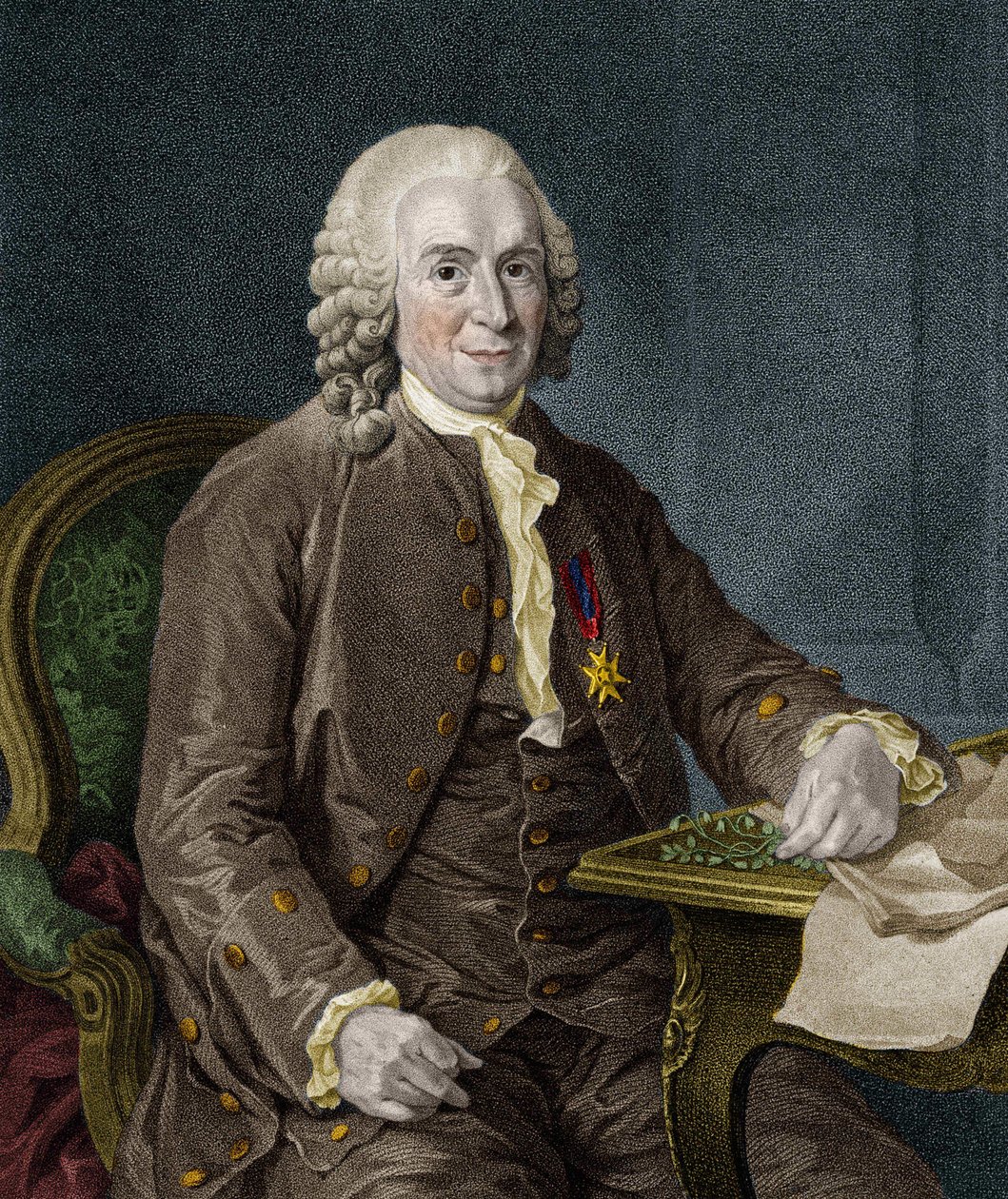 Carl Von Linné svéd természettudós és író (1707-1778). alkotó: Unknown artist