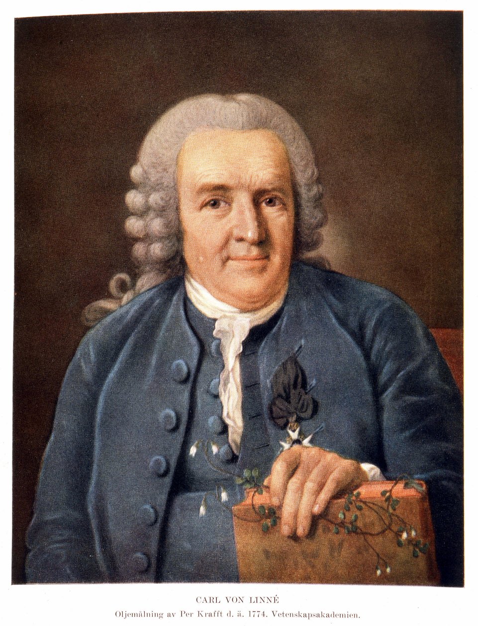 Carl Von Linné svéd természettudós és író alkotó: Unknown artist
