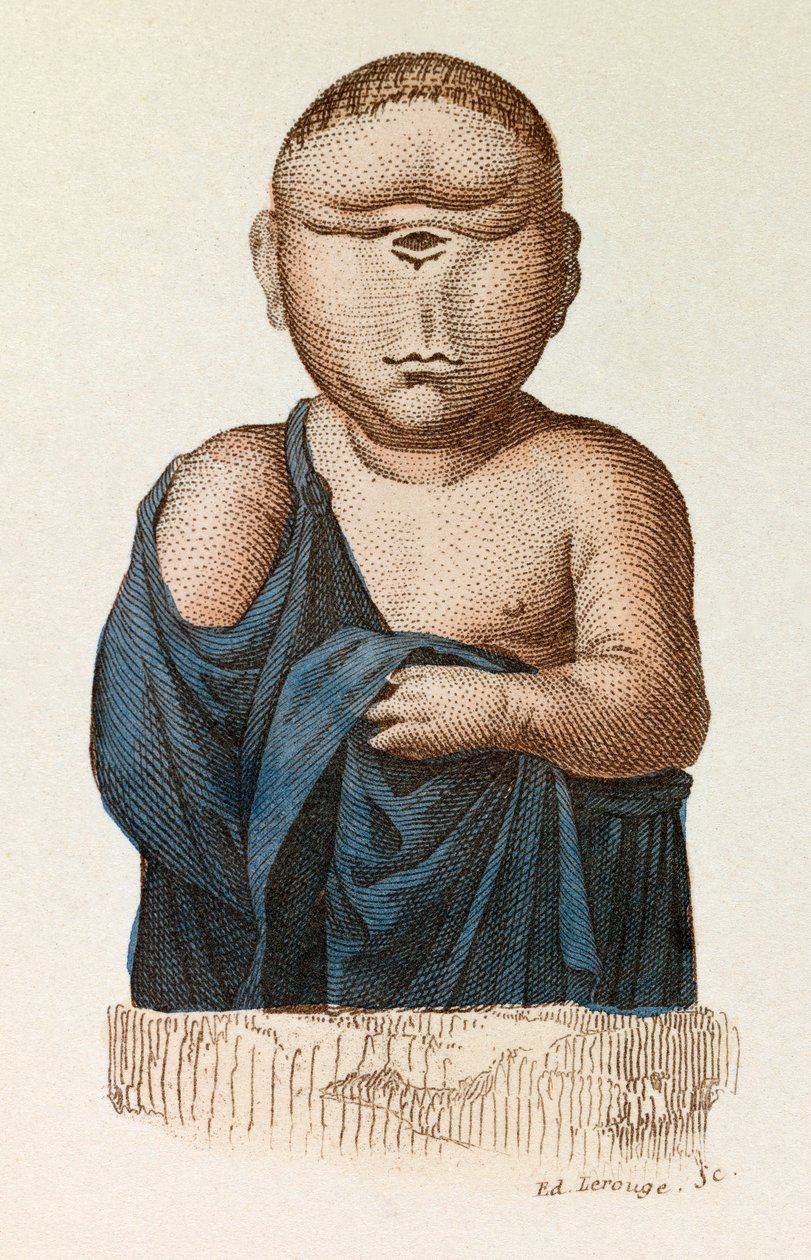 Félszemű gyermek, Linneene nómenklatúrája és Cuvier osztályozása szerint osztályozva (metszet) alkotó: Unknown artist
