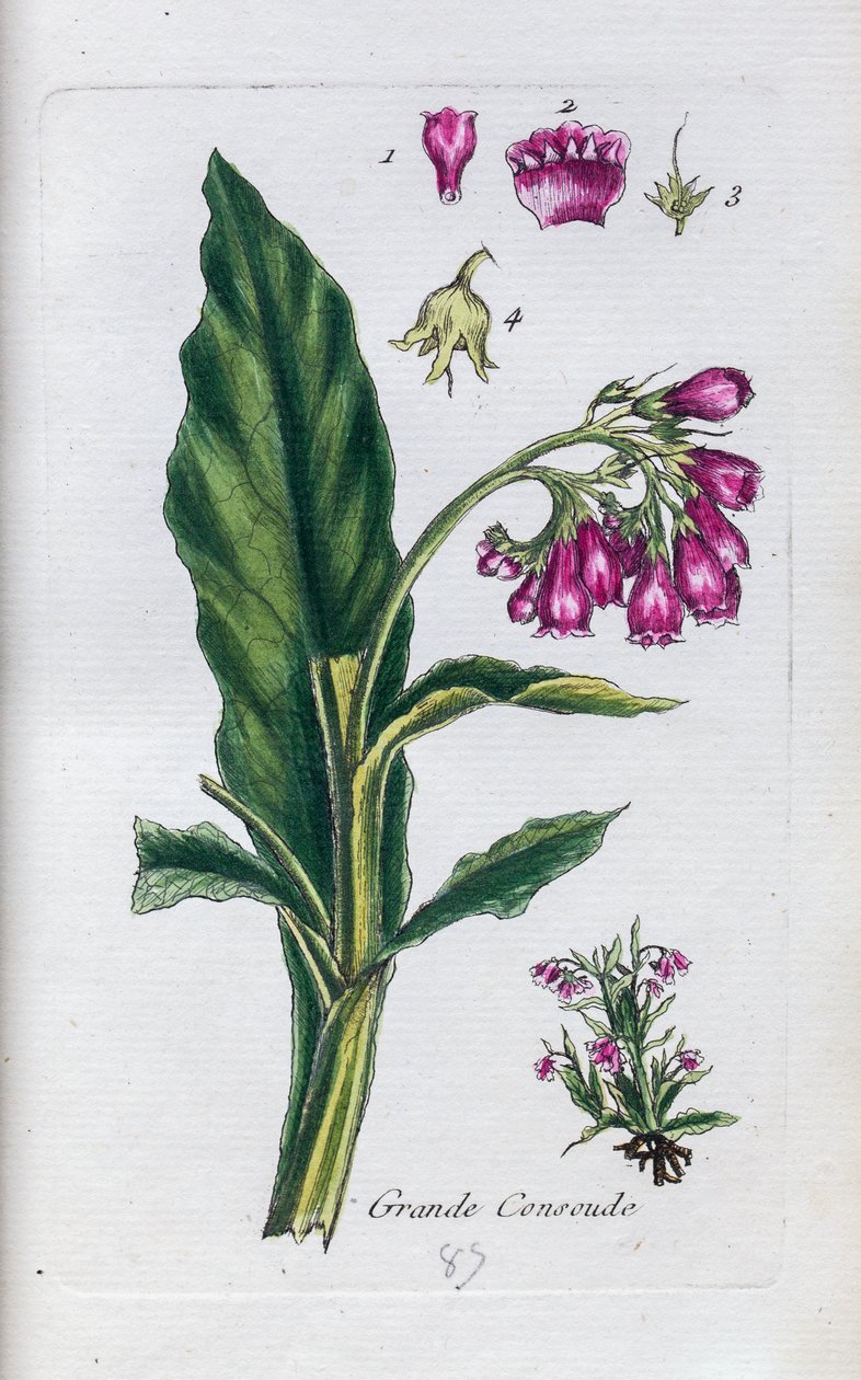  alkotó: Unknown artist