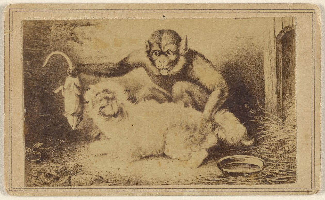 [Egy festmény másolata, amely egy majmot ábrázol, amely egy patkányt tart a farkánál fogva egy kis fehér kutya előtt] alkotó: Unknown artist