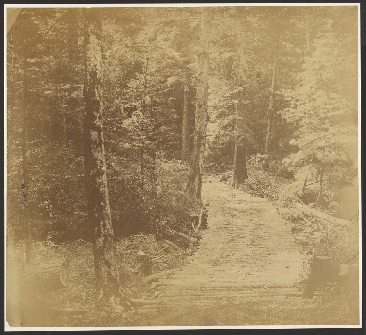 [Corduroy Road a Harper