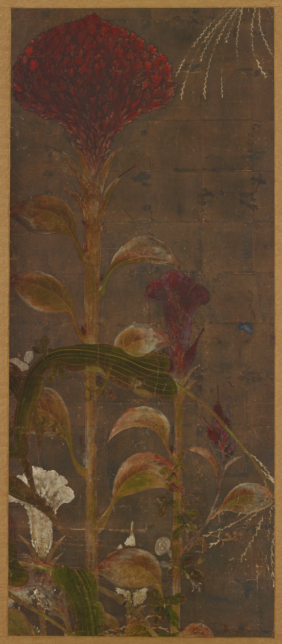 Coxcombs, kukorica és hajnalka alkotó: Unknown artist