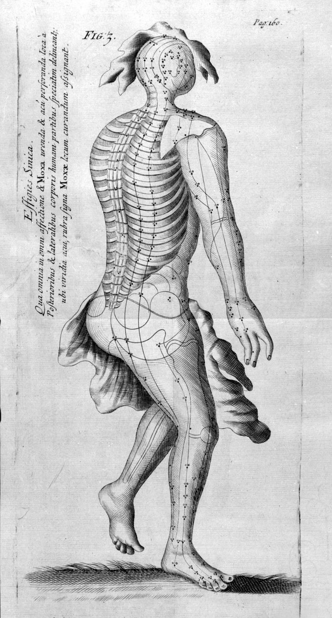 De Acupunctura, W.Ten Rhijn. London 1683. Az akupunktúrával foglalkozó első nyugati szöveg. alkotó: Unknown artist