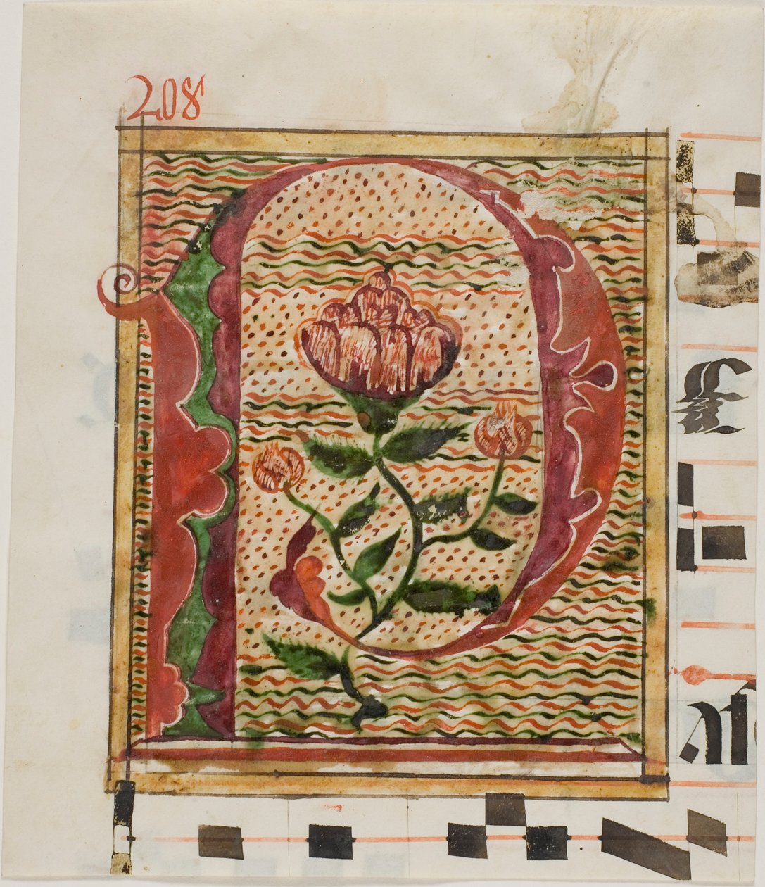 Díszített "P" kezdőbetű virágokkal egy kéziratból alkotó: Unknown artist