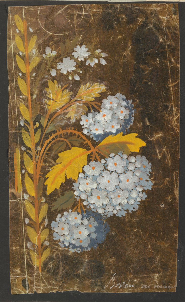 Tervezés hímzett szegélyhez alkotó: Unknown artist