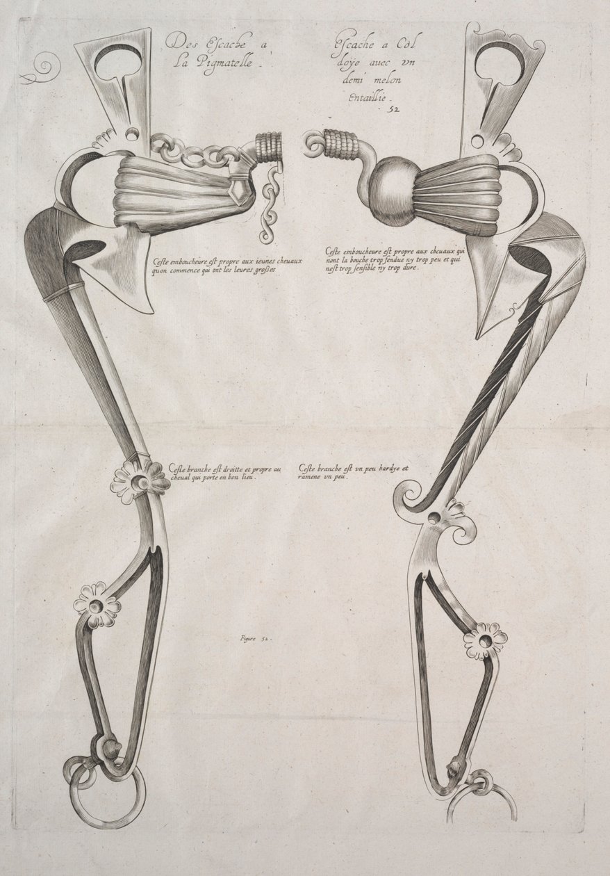 Diagram a ló harapófogójához alkotó: Unknown artist
