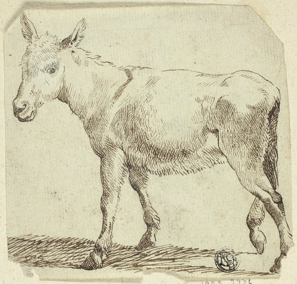 Donkey alkotó: Unknown artist