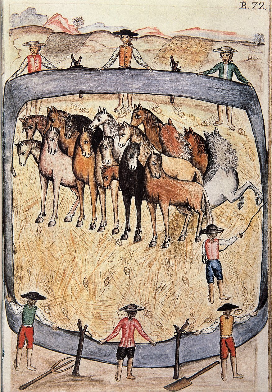 Vadlovak díjlovaglása, a "Trujillo del Peru" vagy a "Codex Martinez Companion" könyvből, Baltazar Martinez Companion és Bujanda, Trujillo püspöke (1782-1785) alkotó: Unknown artist