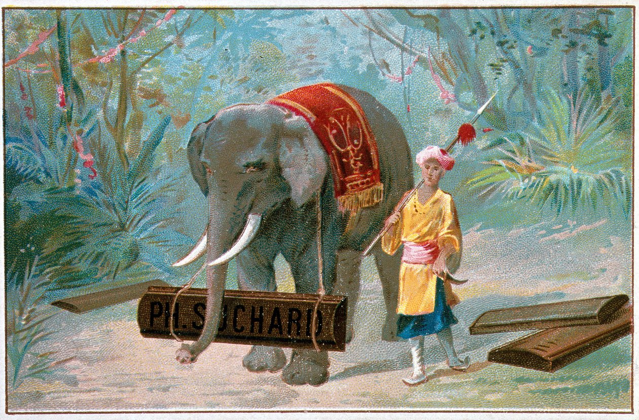 Elephant and Cornac, „Suchard” reklám”, 1895. sz alkotó: Unknown artist