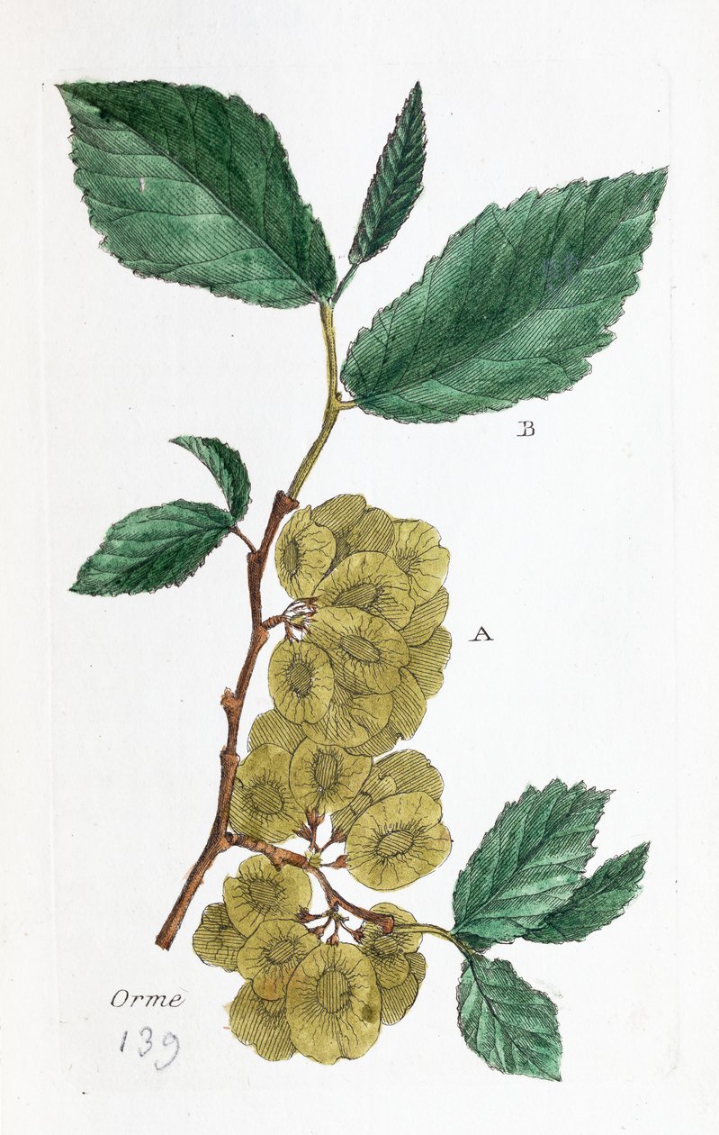  alkotó: Unknown artist