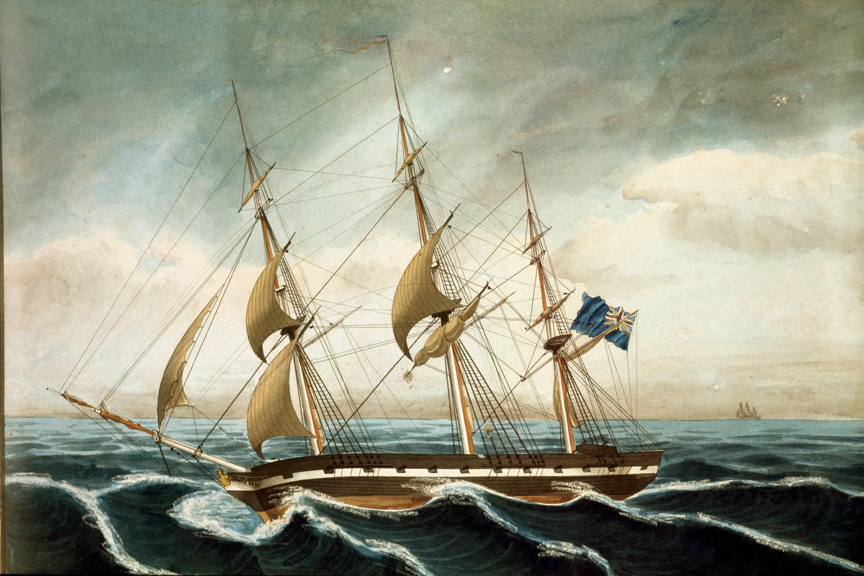 angol korvett (nyomat alkotó: Unknown artist