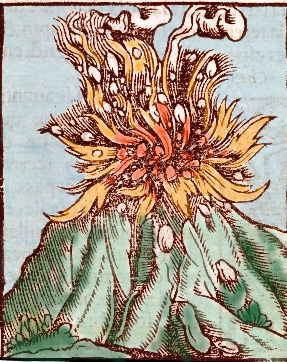 Egy vulkán kitörése. 16. századi metszet. alkotó: Unknown artist