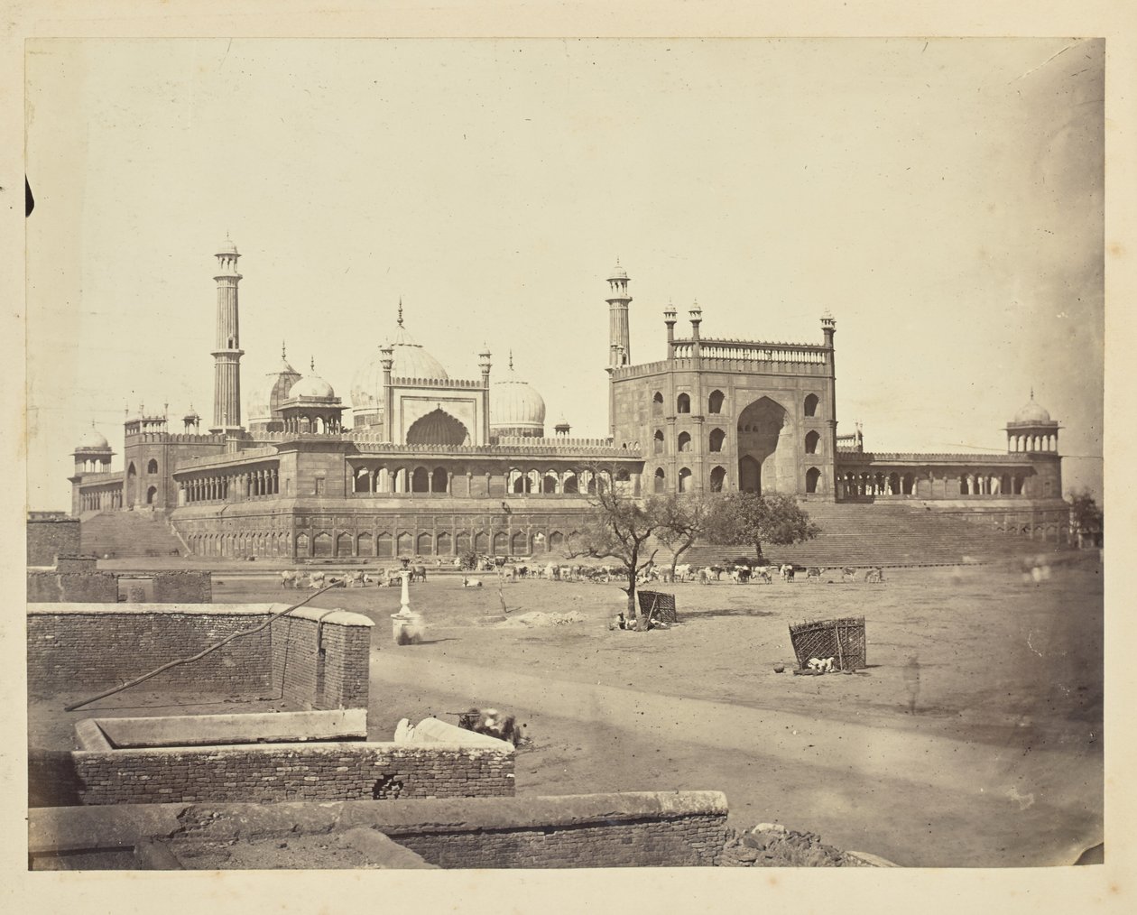 [A Jama Masjid külső nézete, Fatehpur Sikri] alkotó: Unknown artist