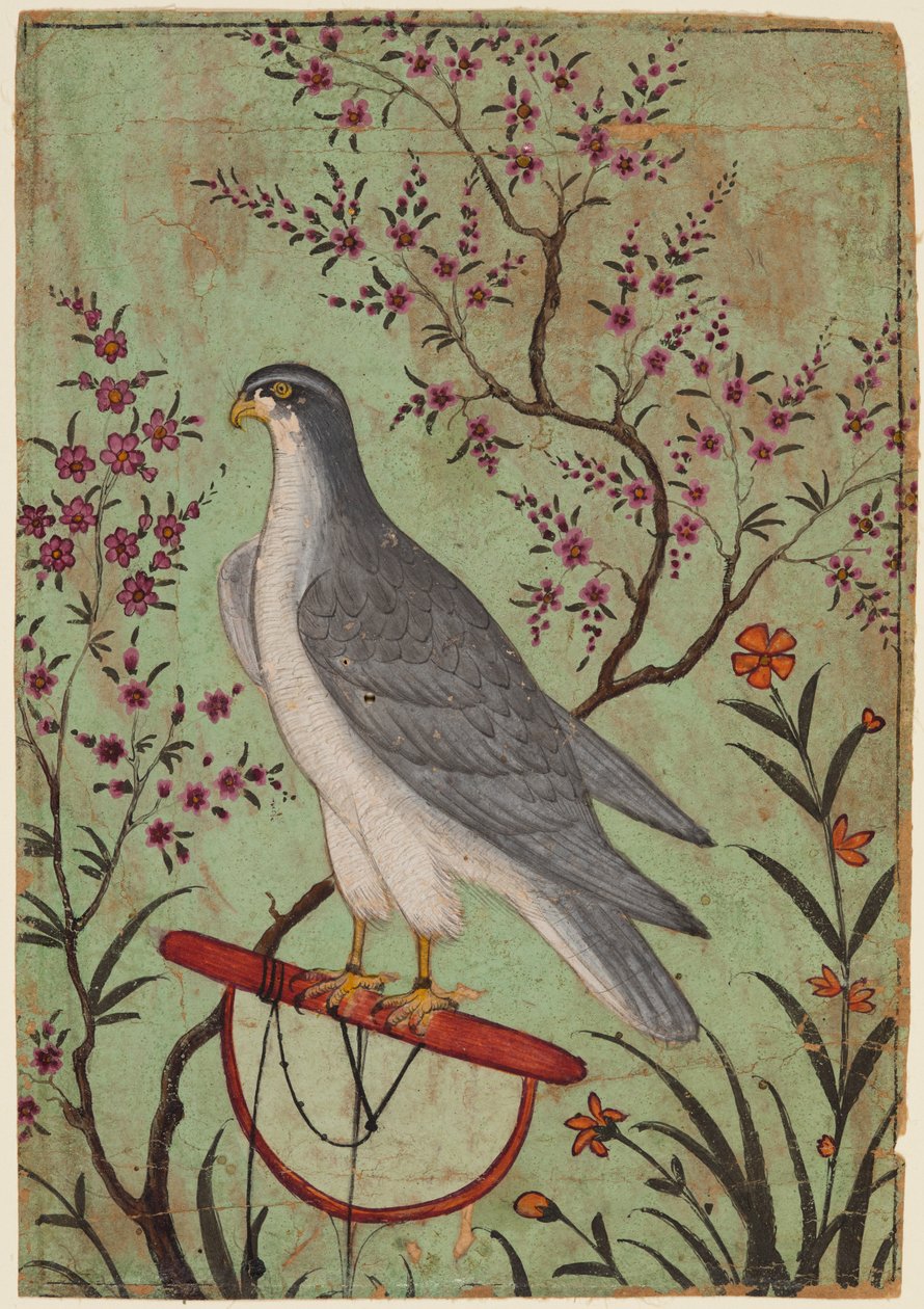 Sólyom a süllőn alkotó: Unknown artist