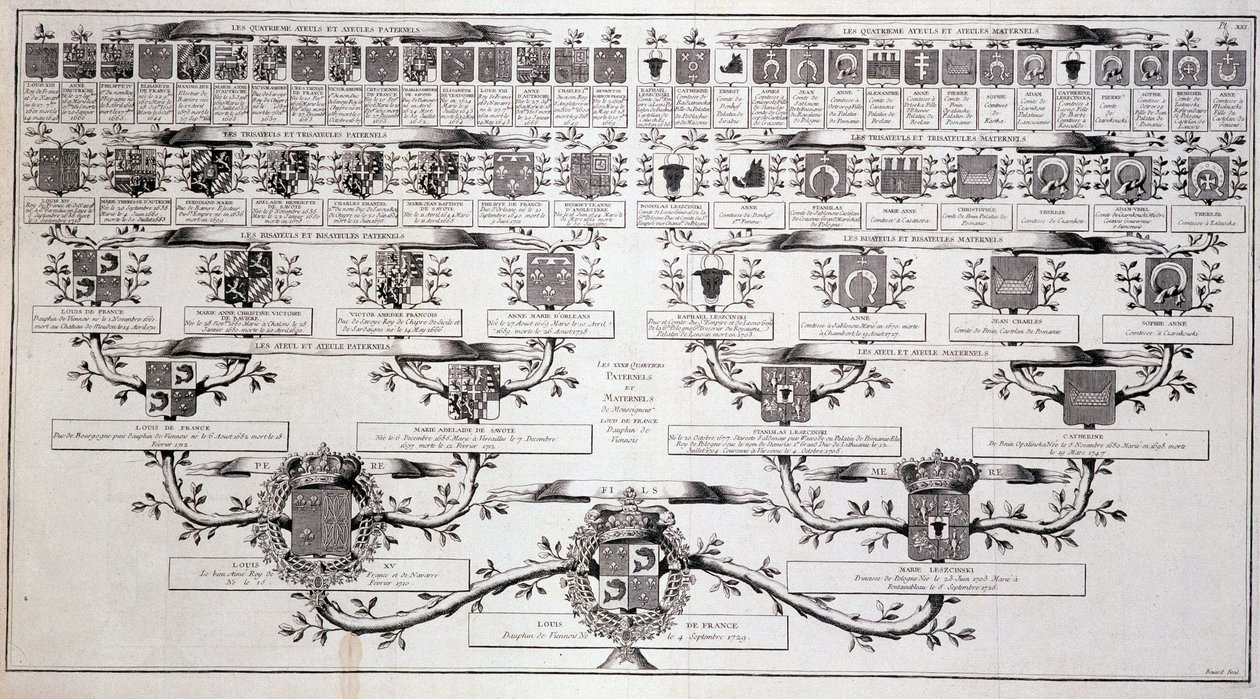 A francia delfin családfája, XV. Lajos és Marie Leczcinski fia – Diderot „” Encyclopedia”-jában alkotó: Unknown artist