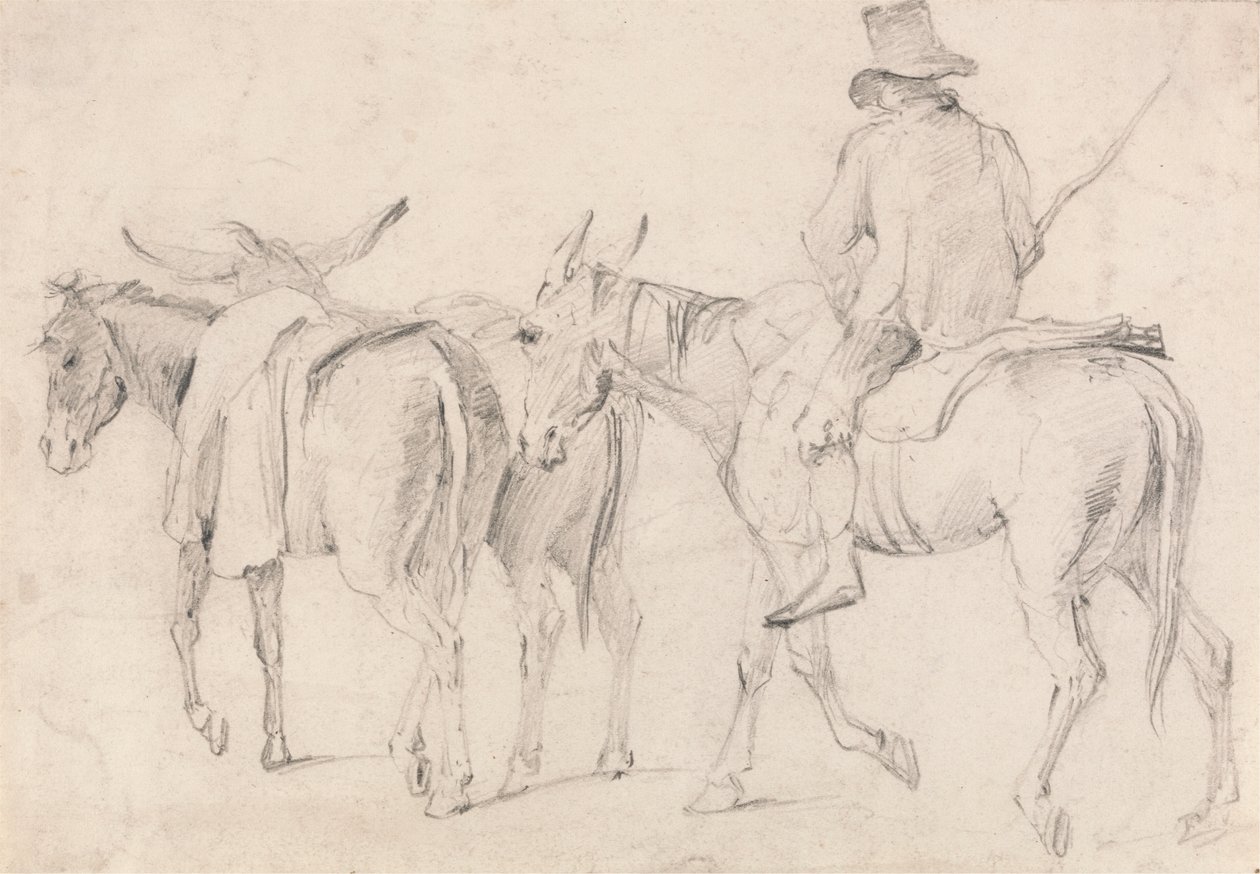 Farmer öszvérekkel alkotó: Unknown artist