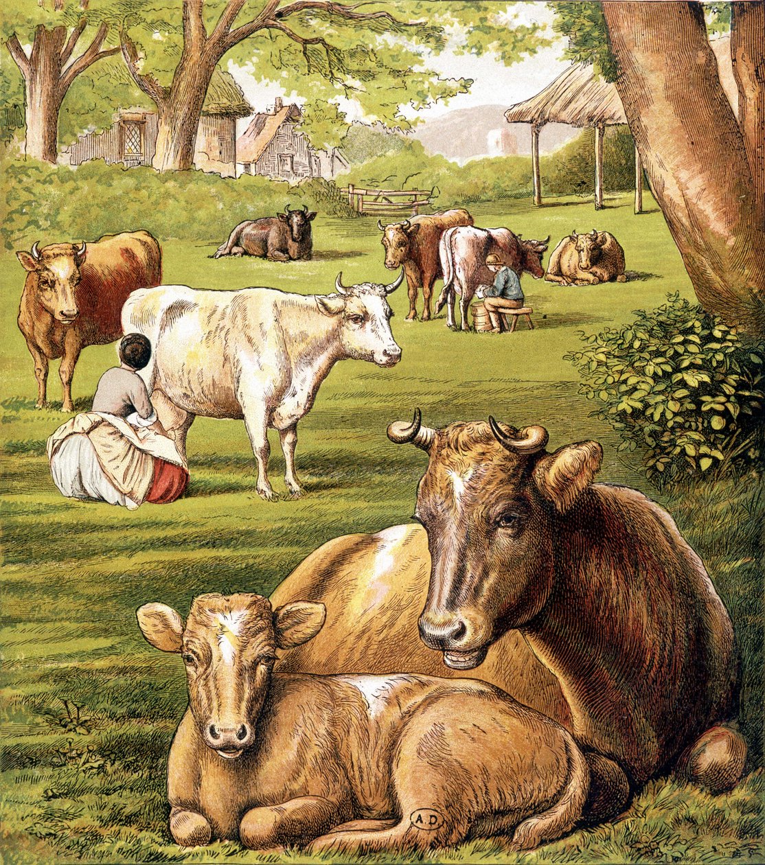 Tejet húzó gazdák. 19. század. alkotó: Unknown artist