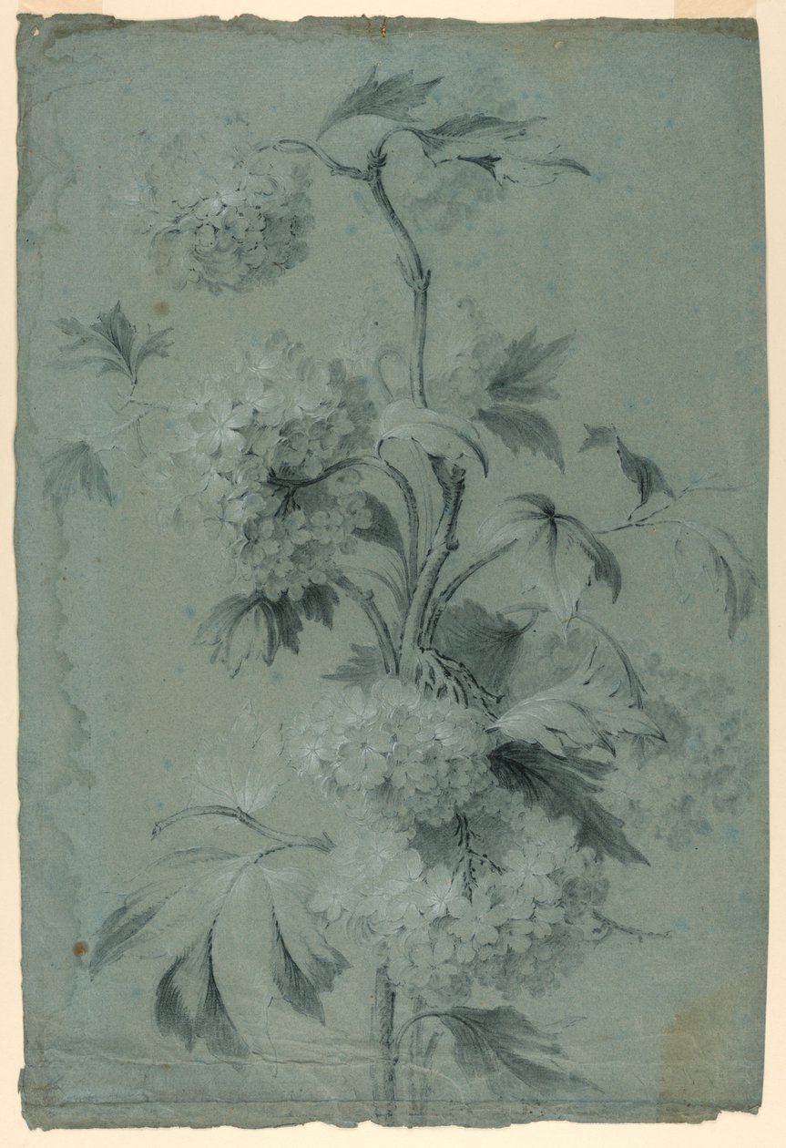 Virágos Design alkotó: Unknown artist