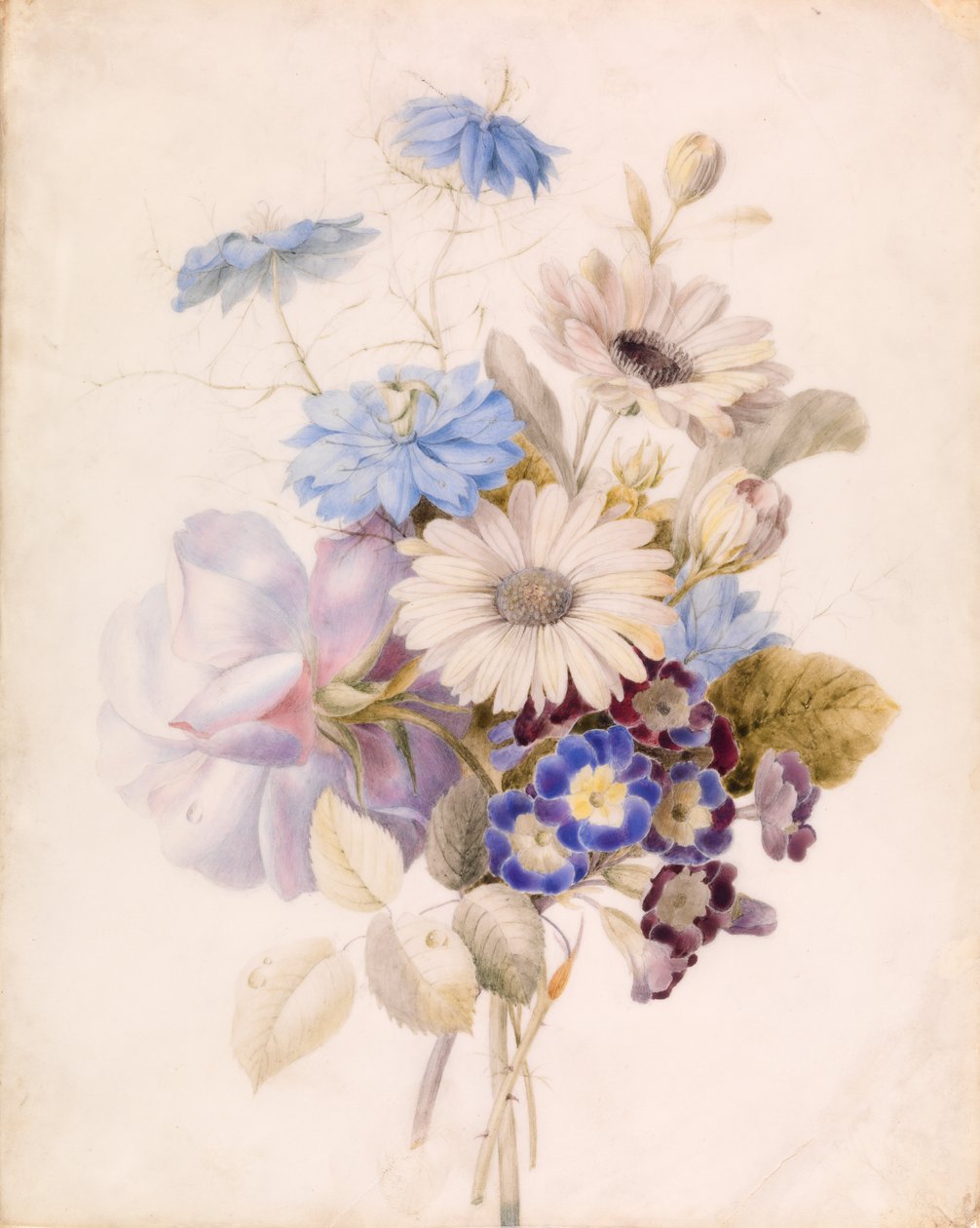 Virágok százszorszépekkel alkotó: Unknown artist