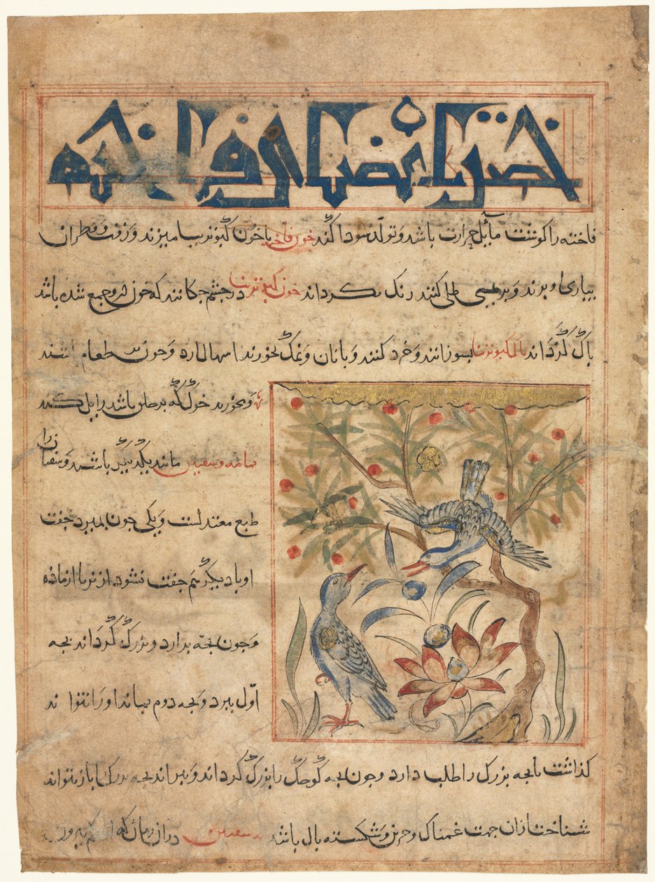 Abu Said Ubaid-Allah ibn Jibrail ibn Bakhtishu (meghalt 1058-68) fóliója egy perzsa Manafi al-Hayawanból (Az állatok előnyei) (jobbra) alkotó: Unknown artist