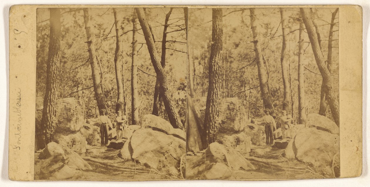 [Fontainebleau] alkotó: Unknown artist