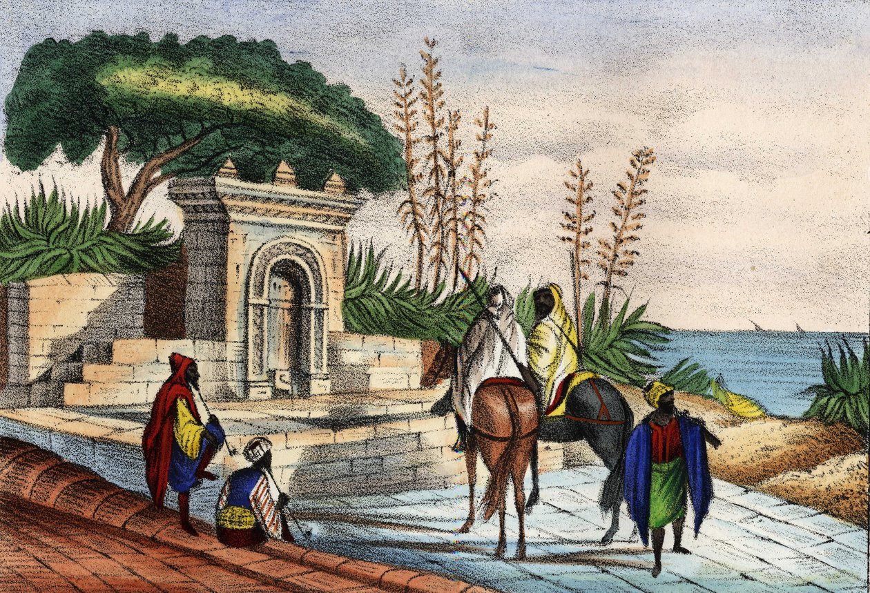 Szökőkút Algír közelében alkotó: Unknown artist