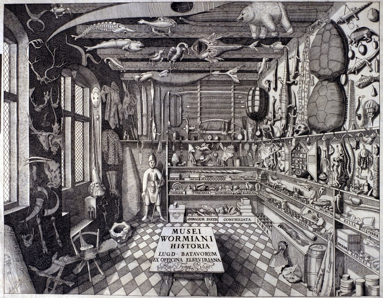 A „Musei Wormiani Historia” homlokzata, amely Ole Worm vagy Olaus Wormius kíváncsiskodóinak szekrényének belsejét mutatja alkotó: Unknown artist