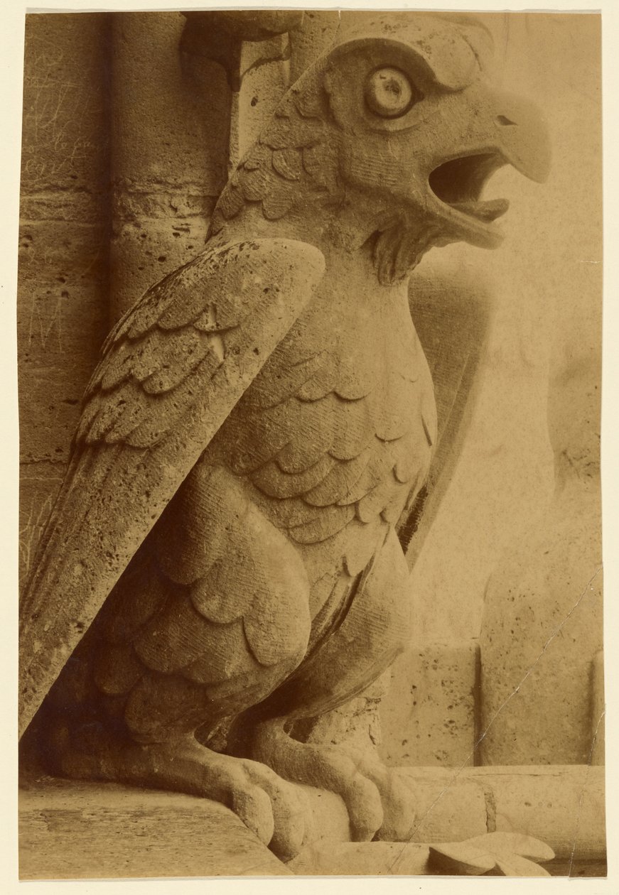 [Vízköpő, Notre-Dame] alkotó: Unknown artist