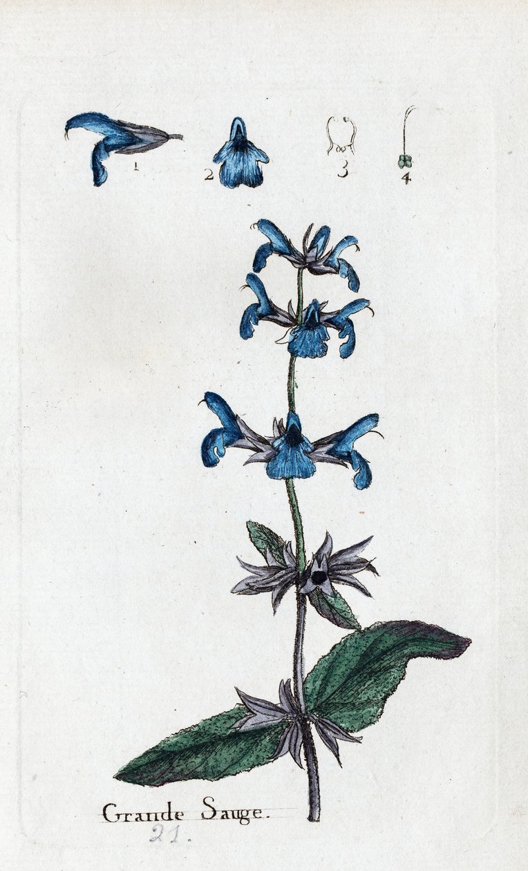  alkotó: Unknown artist