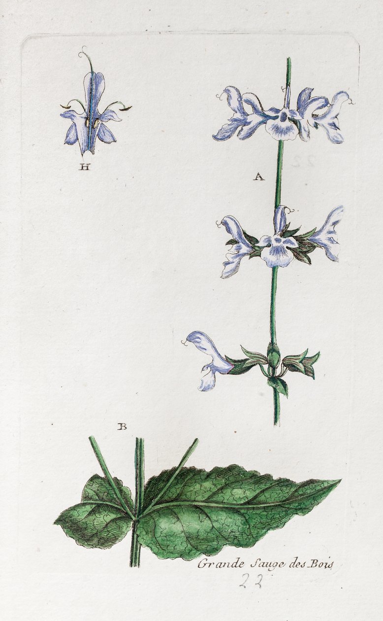  alkotó: Unknown artist