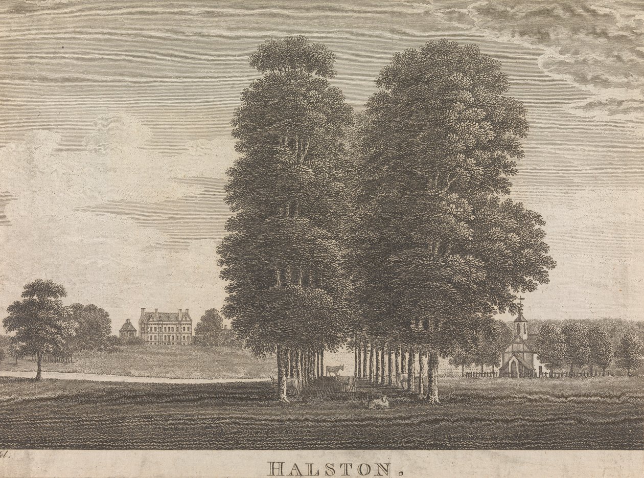 Halston; 22. oldal (Második kötet) alkotó: Unknown artist