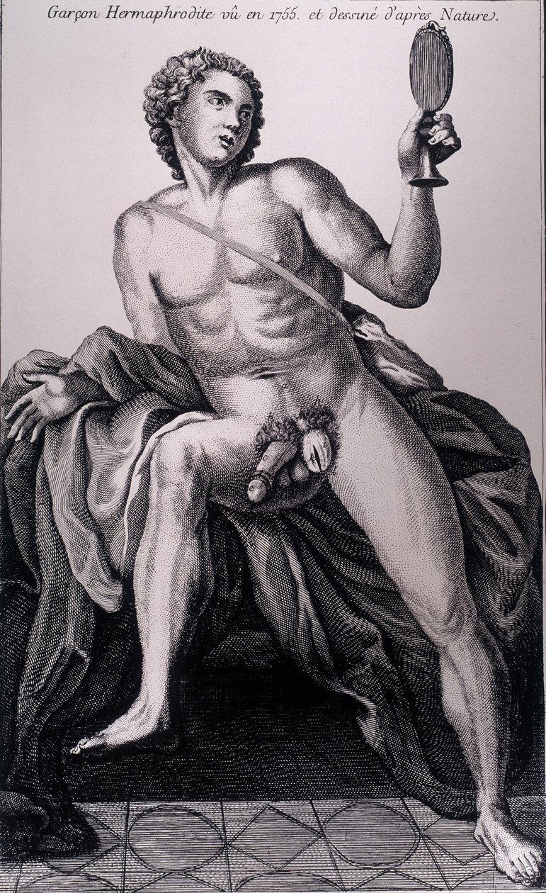 Hermafrodita fiú 1755-ben, és a természetből származott. alkotó: Unknown artist