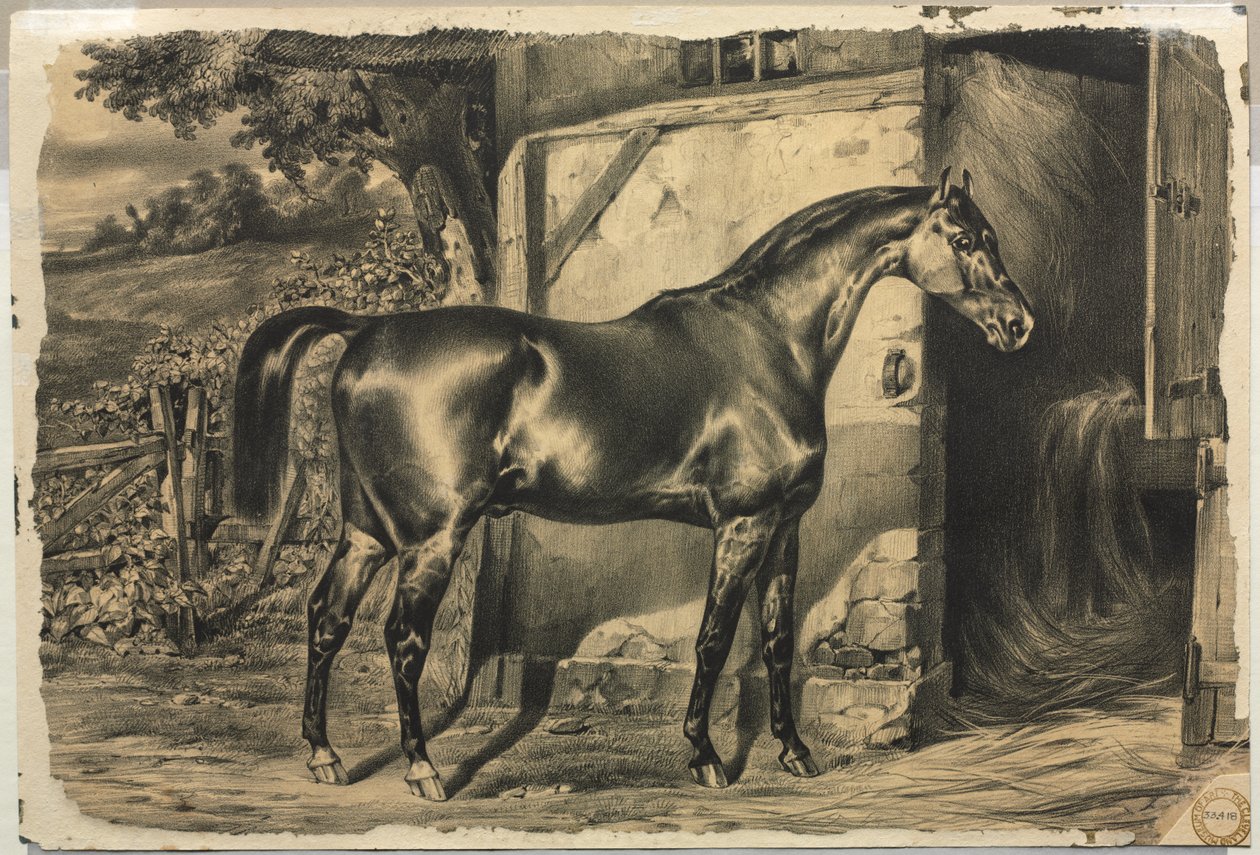 Ló az istálló előtt (verso) alkotó: Unknown artist