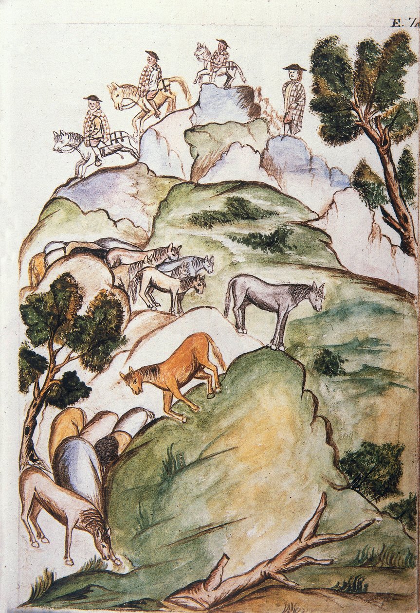 A "Trujillo del Peru" vagy "Codex Martinez Companion" könyv, Baltazar Martinez Companion és Bujanda, Trujillo püspöke (1782-1785) alkotó: Unknown artist